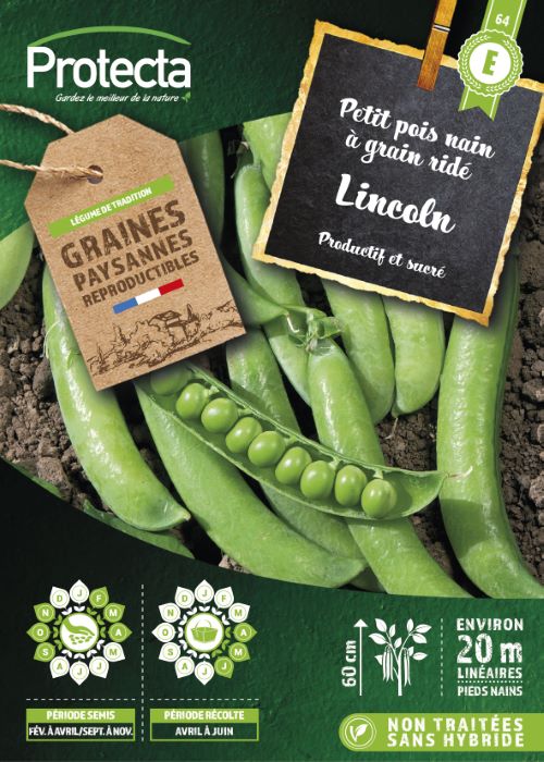 Pois Nain À Grain Ridé Lincoln-Bte 150g