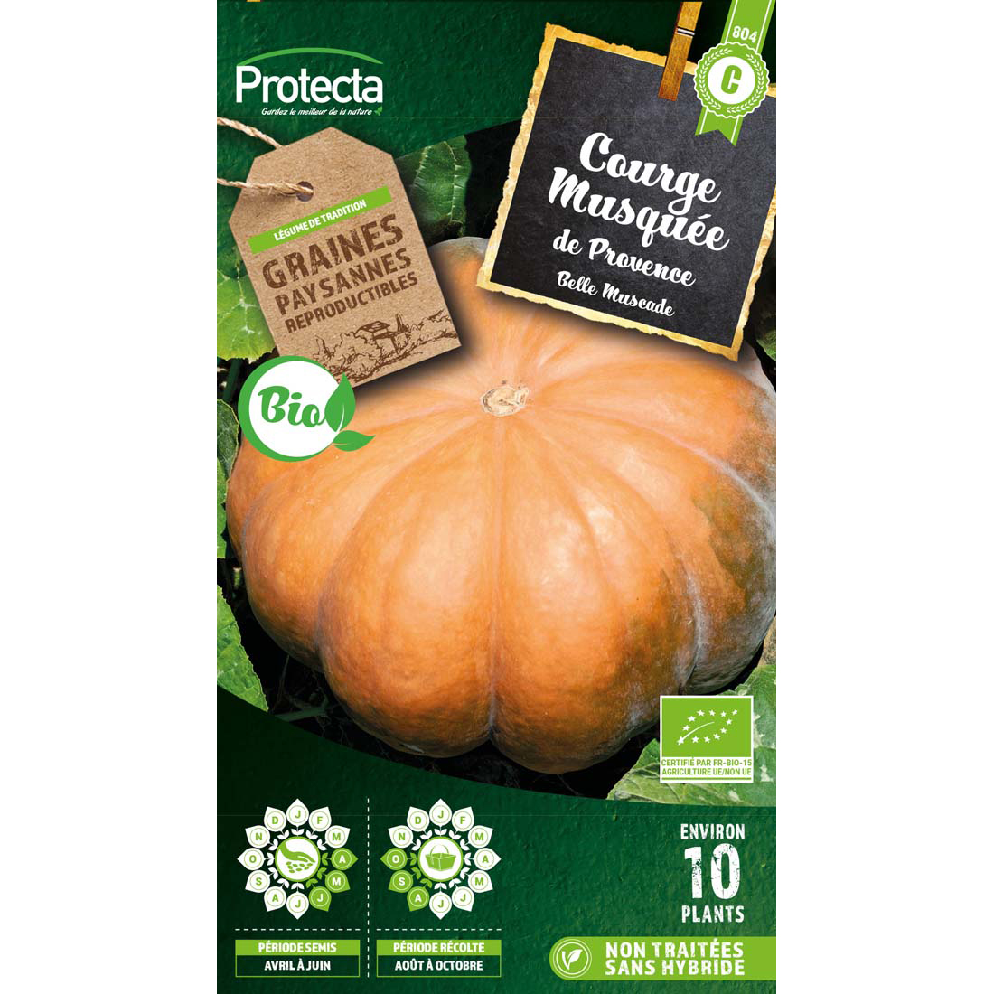 Courge musquée de Provence BIO certifié FR-BIO-15 sachet 3g