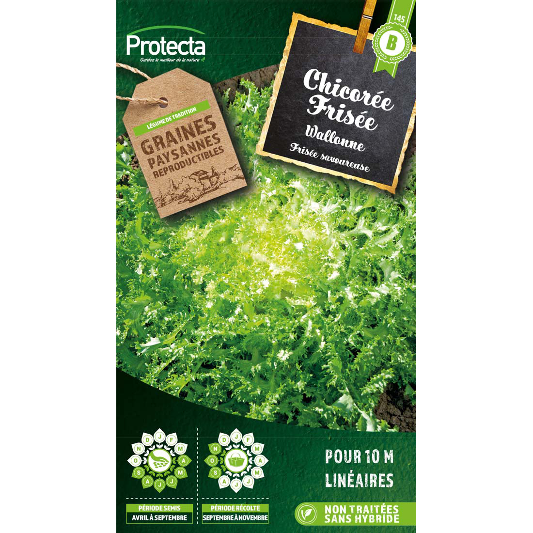 Chicorée Frisée Wallonne sachet 5 g