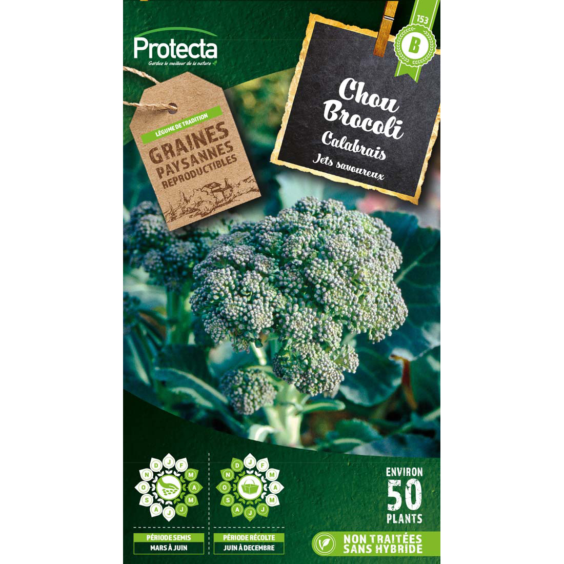 Chou Brocoli Calabrais à jets verts sachet 1 g
