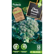 CHOU BROCOLI À JETS VERTS CALABRAIS