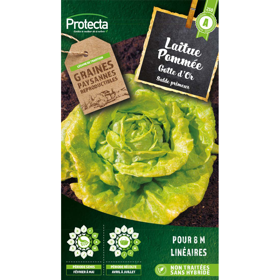 Laitue Gotte jaune d'or sachet 4g