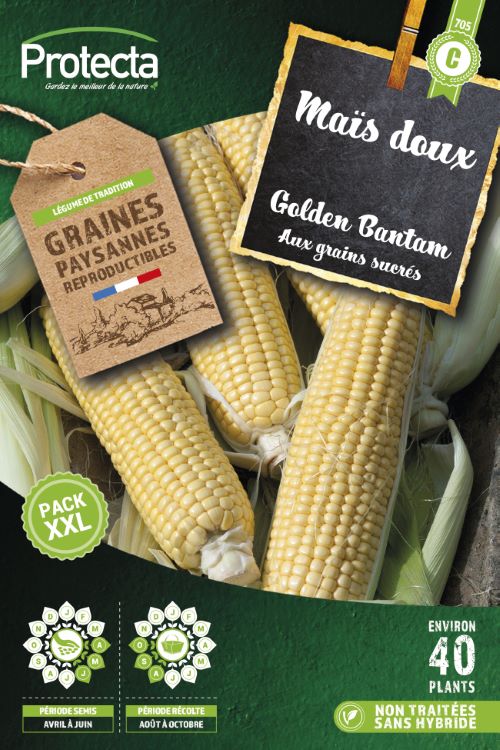 Maïs Doux Golden Bantam Xxl-10g