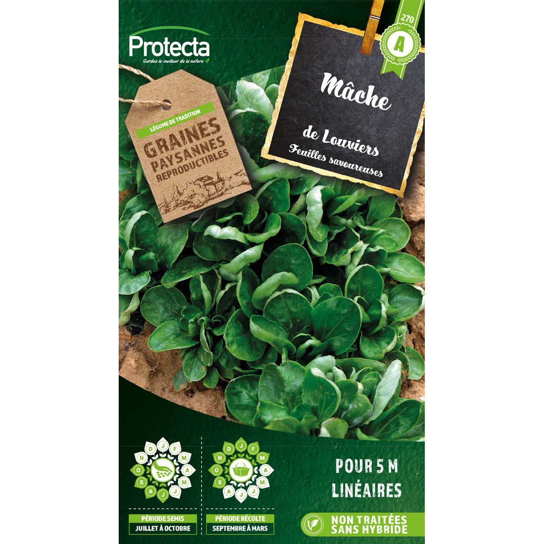 Mâche Coquille de Louviers sachet 4g