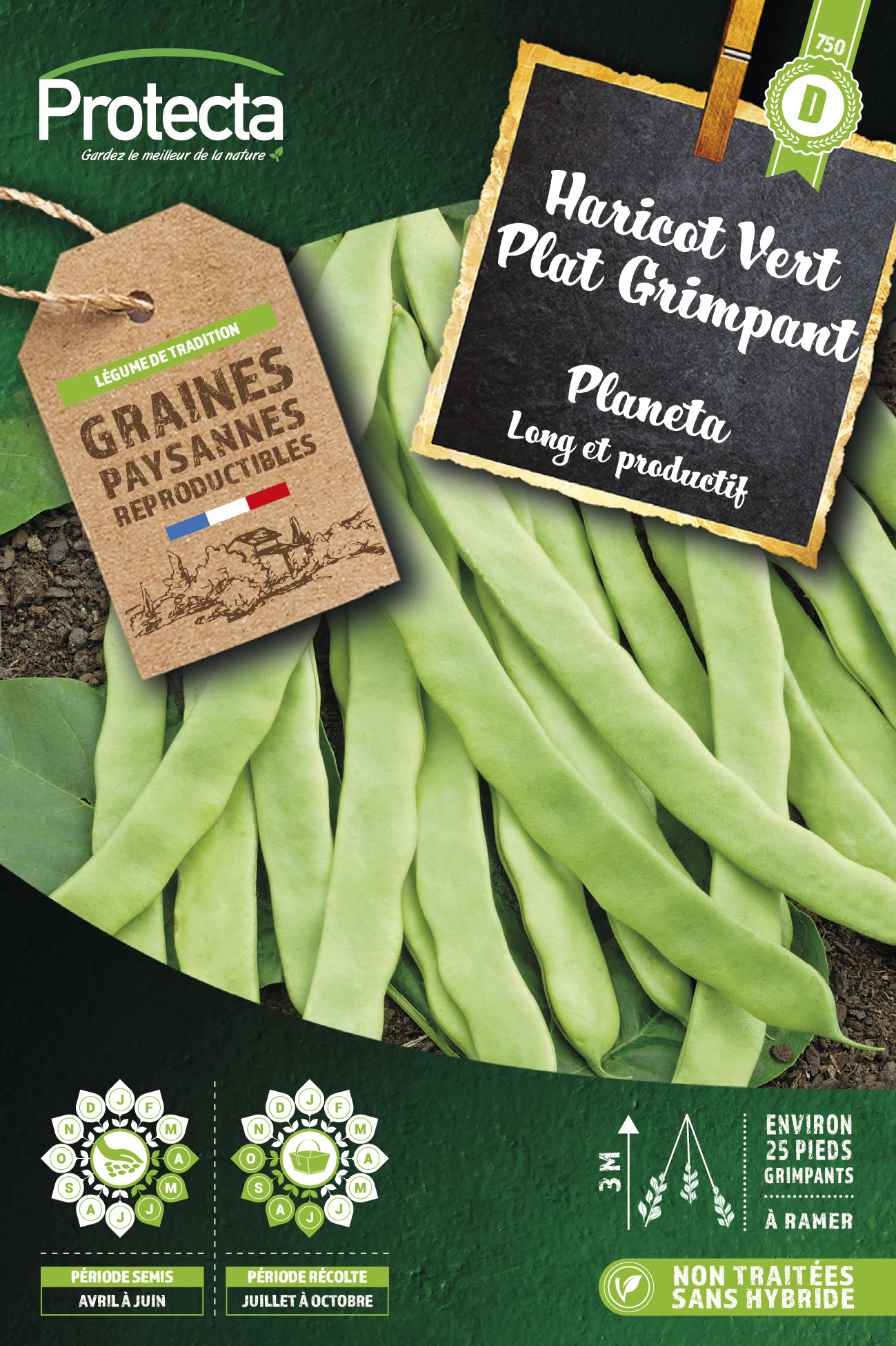 Haricot à rames mangetout plat Planeta  25g
