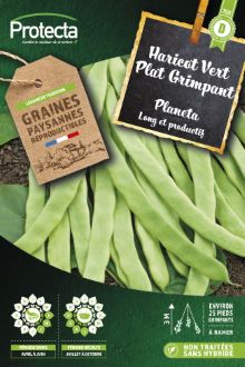 Haricot à rames mangetout plat Planeta  25g