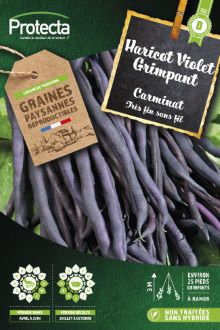 Haricot Grimpant Carminat 25 G-