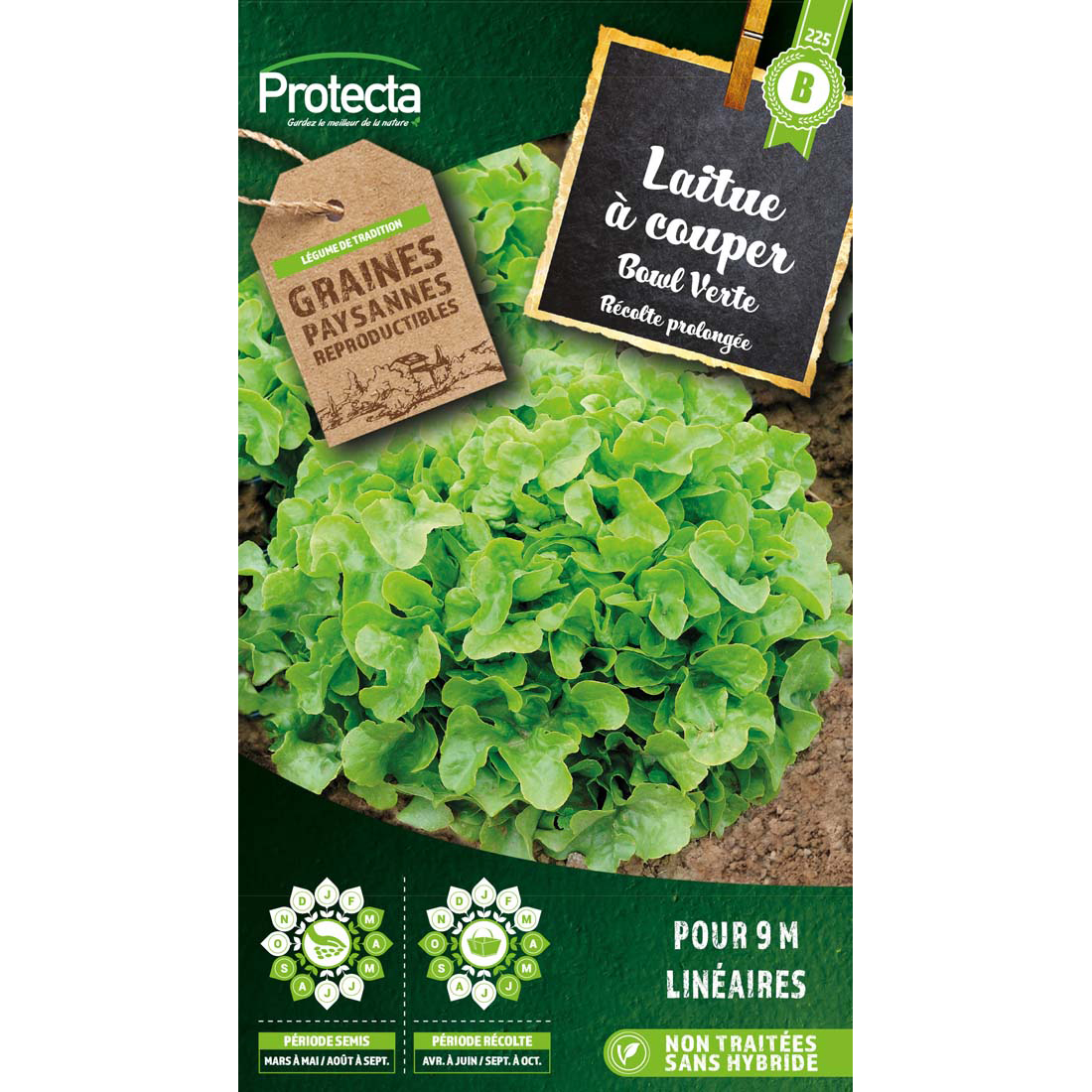 Laitue à couper salad bowl verte sachet 3g