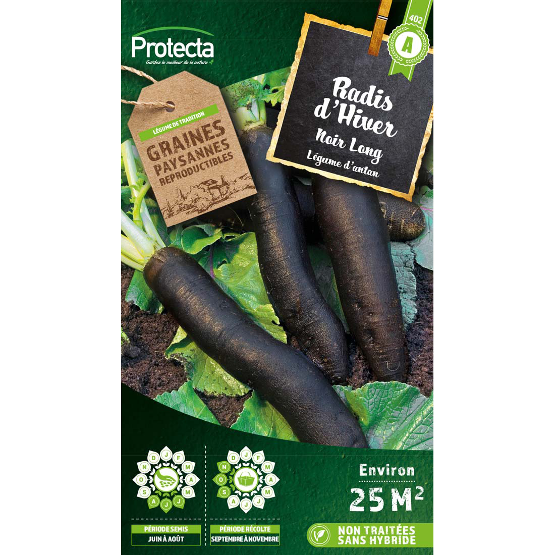 RADIS D'HIVER NOIR LONG D'HIVER