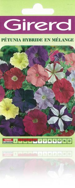 PETUNIA HYBRIDE en mélange Pqt  25 g