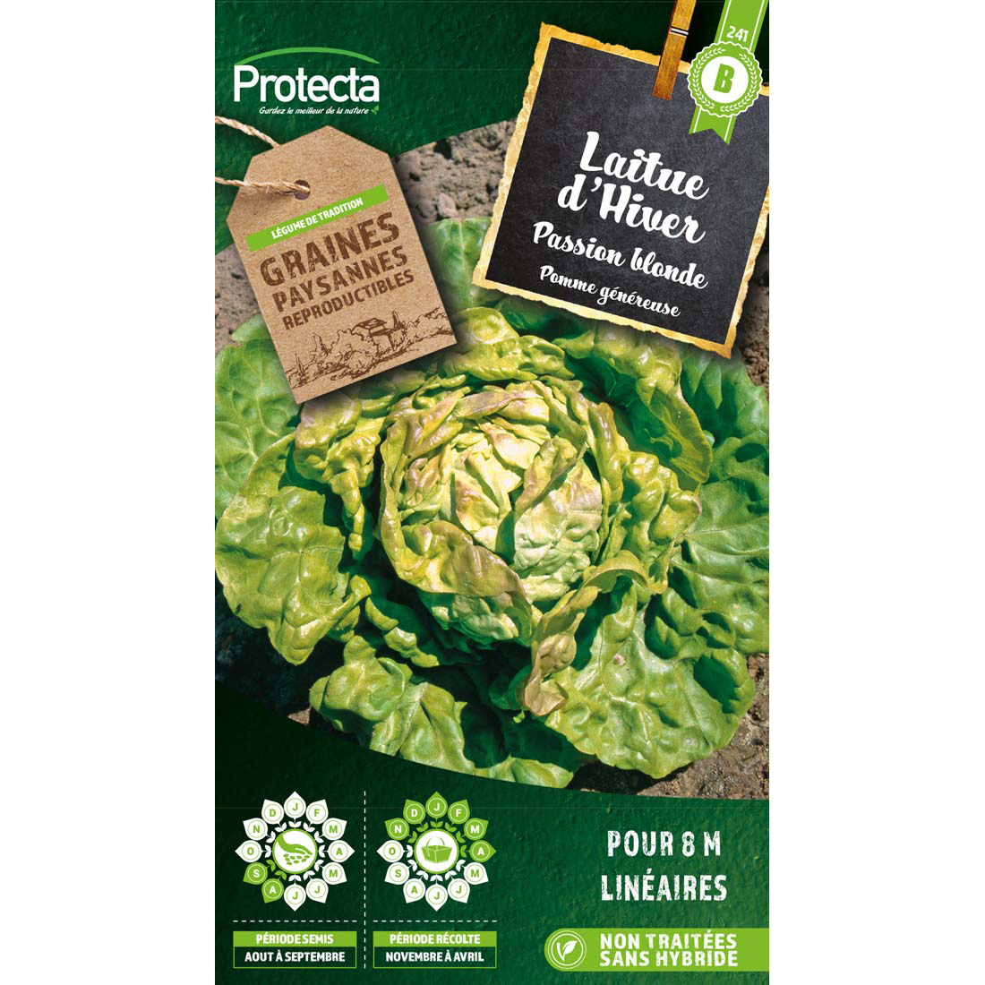 Laitue d'hiver Passion blonde (deTrémont)