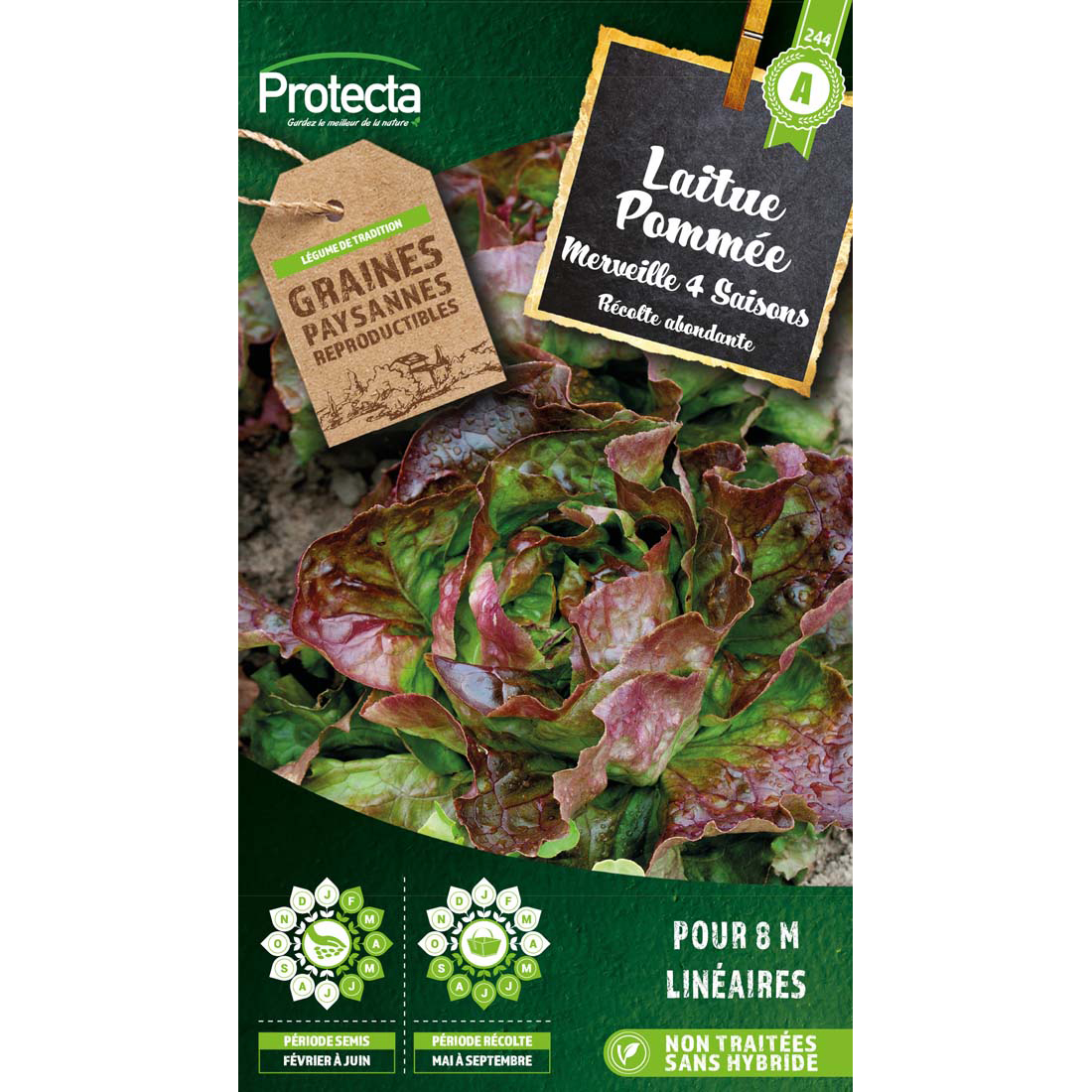 Laitue Merveille des 4 saisons sachet 4g