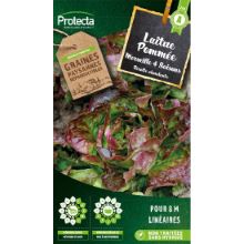 Laitue Merveille des 4 saisons sachet 4g