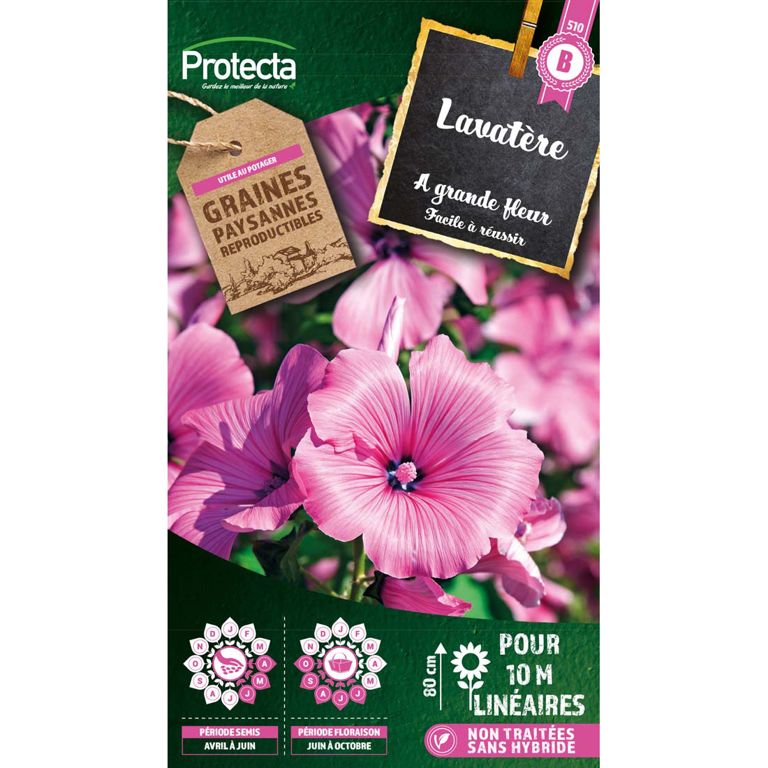 Lavatère à grande fleur sachet 3 g