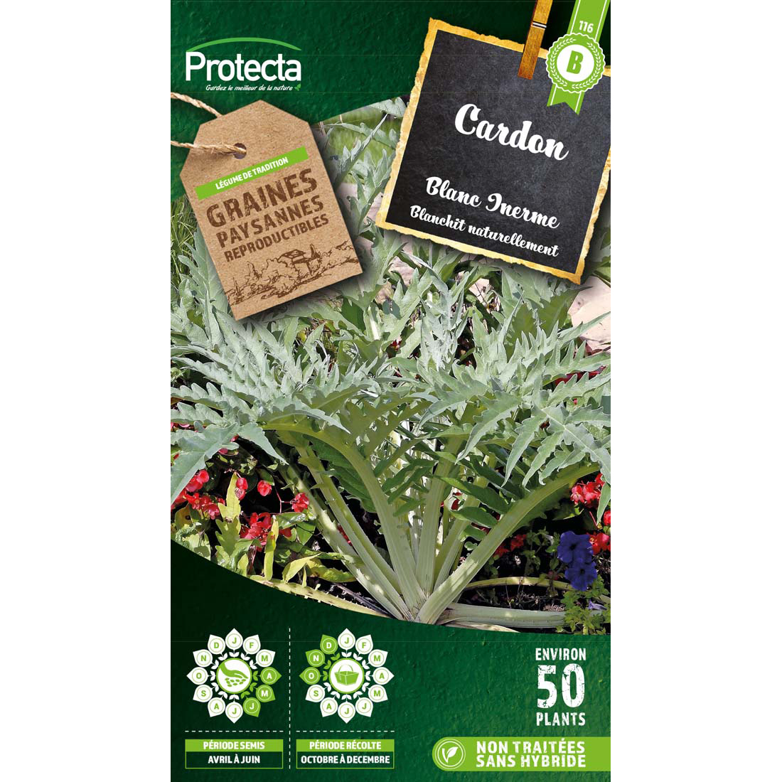 Cardon Plein Blanc Inerme sachet 4 g