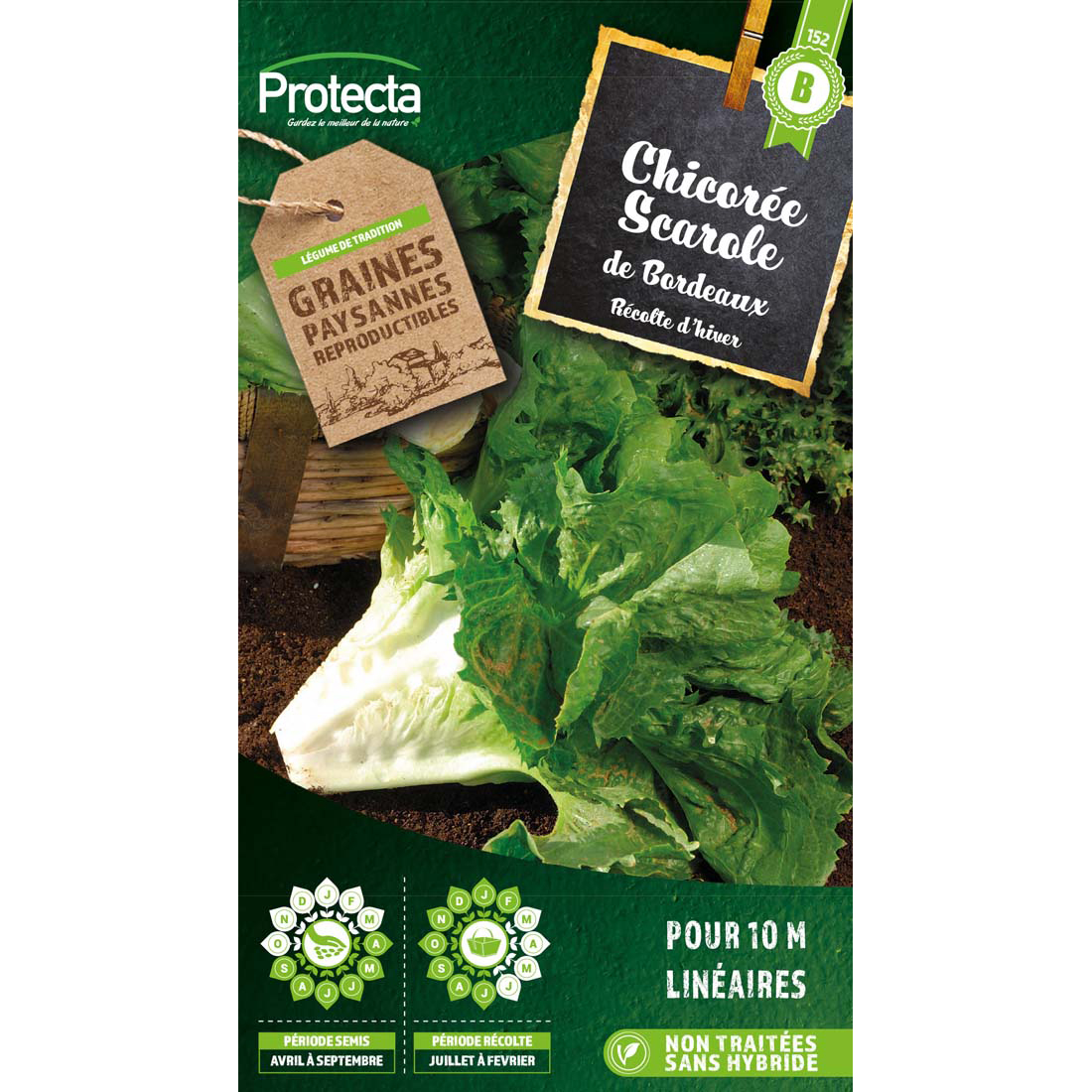 Chicorée scarole en cornet de Bordeaux sachet 5 g