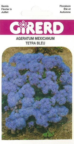 Ageratum Tetra Blue Mink bleu vif Pqt   5 g