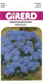 AGERATUM Tetra Blue Mink bleu vif Pqt   5 g