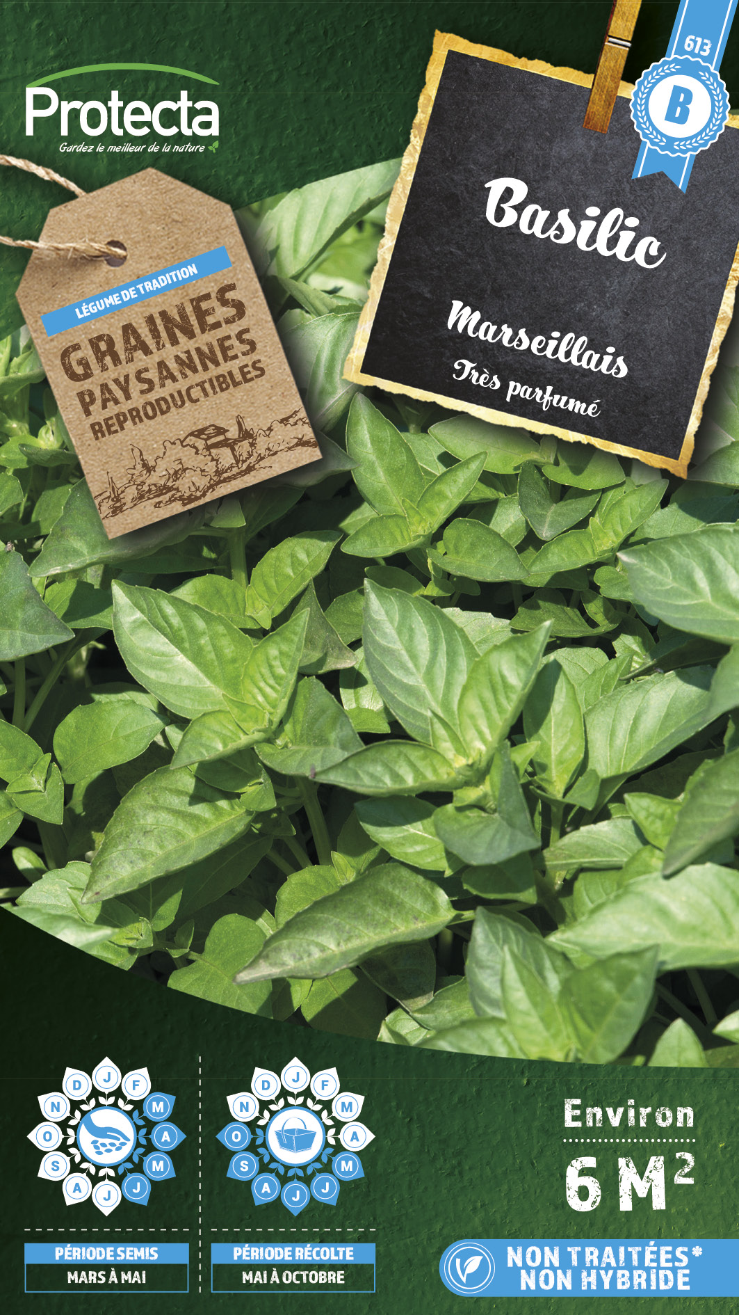 Basilic Marseillais 
