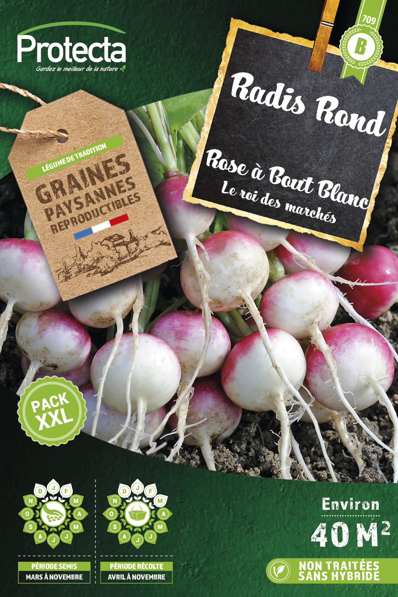 Radis Rose À Bout Blanc Xxl-20g