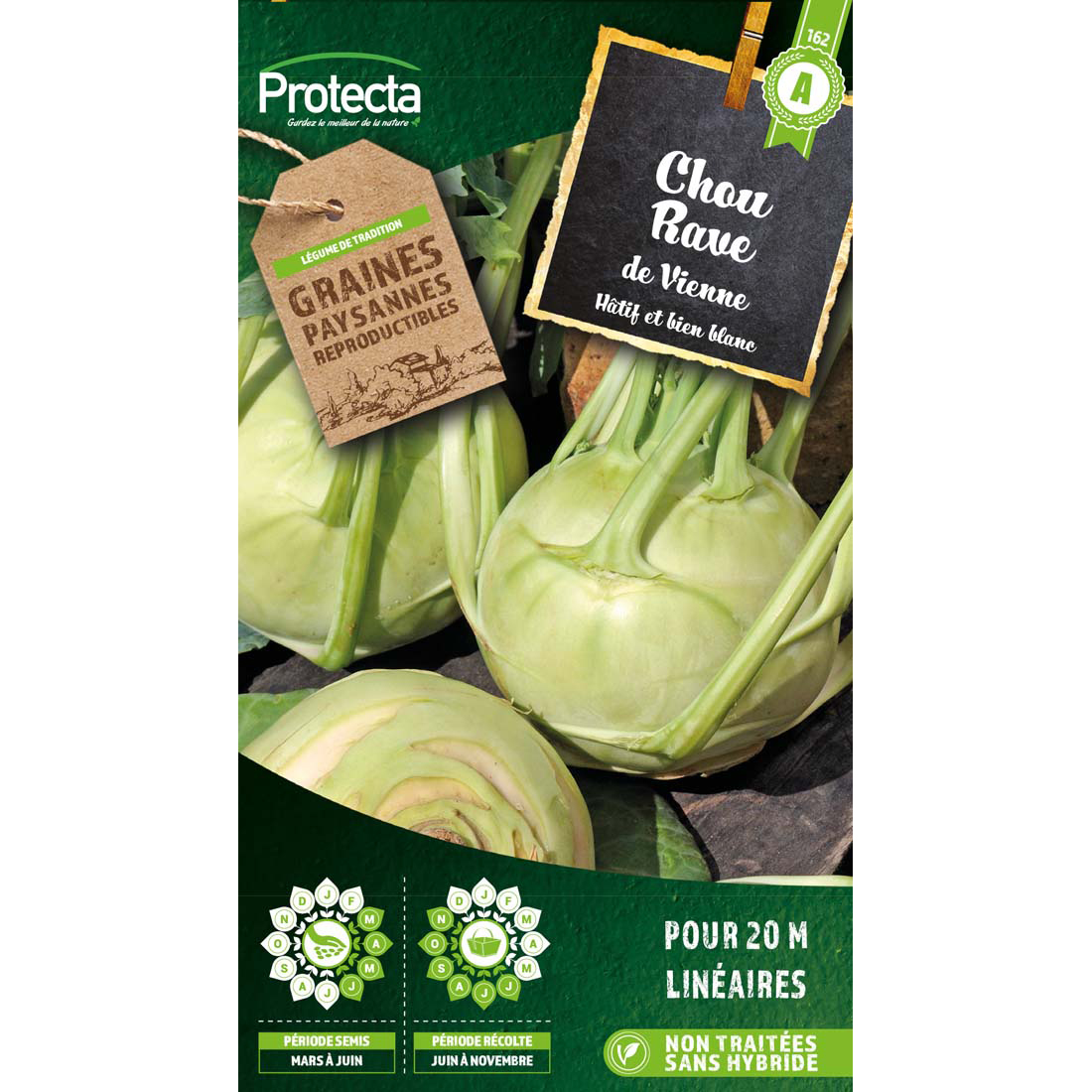 Chou-rave blanc hâtif de Vienne  sachet 1g