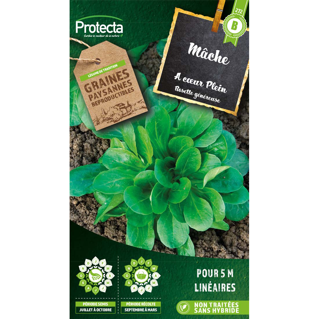 Mâche verte à coeur plein