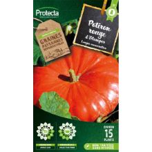 POTIRON ROUGE VIF D'ETAMPES