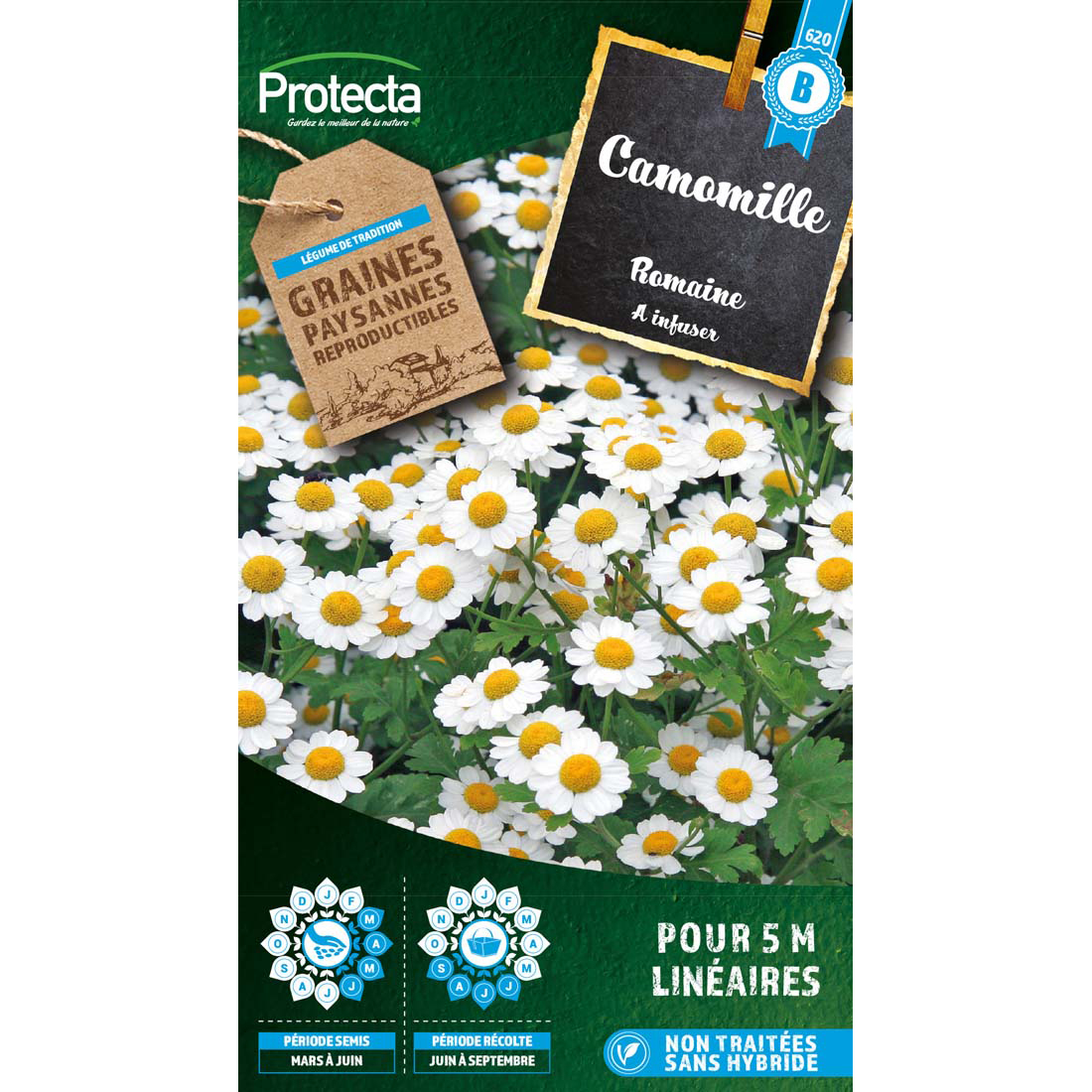 Camomille Romaine - anthemis nobilis sachet 1 g