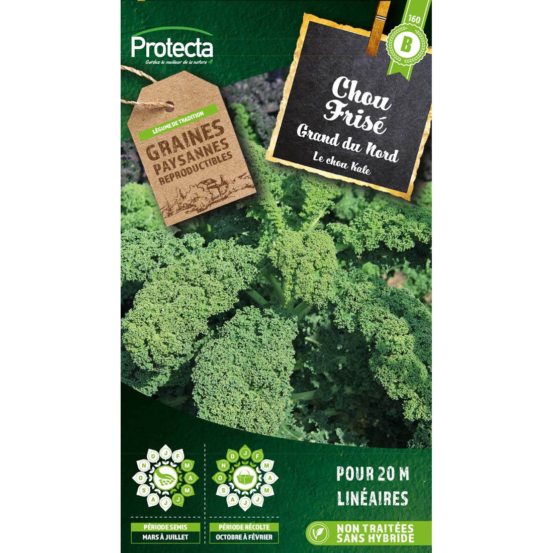 Chou frisé demi-nain de Westland (chou Kale) sachet 1 g