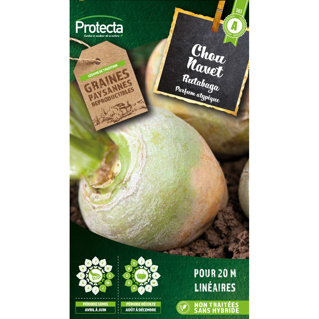 Chou Navet Rutabaga jaune à collet vert sachet 10 g