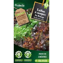 LAITUE À COUPER EN MÉLANGE