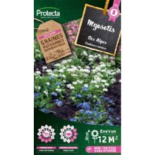 Myosotis des Alpes
