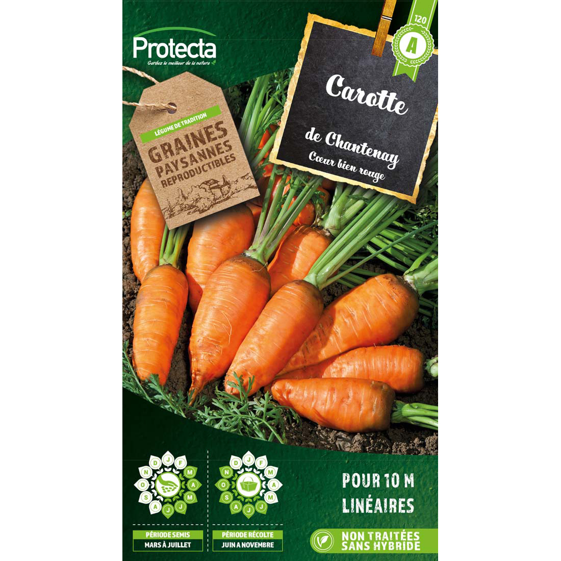 Carotte de Chantenay à coeur rouge sachet 6 g