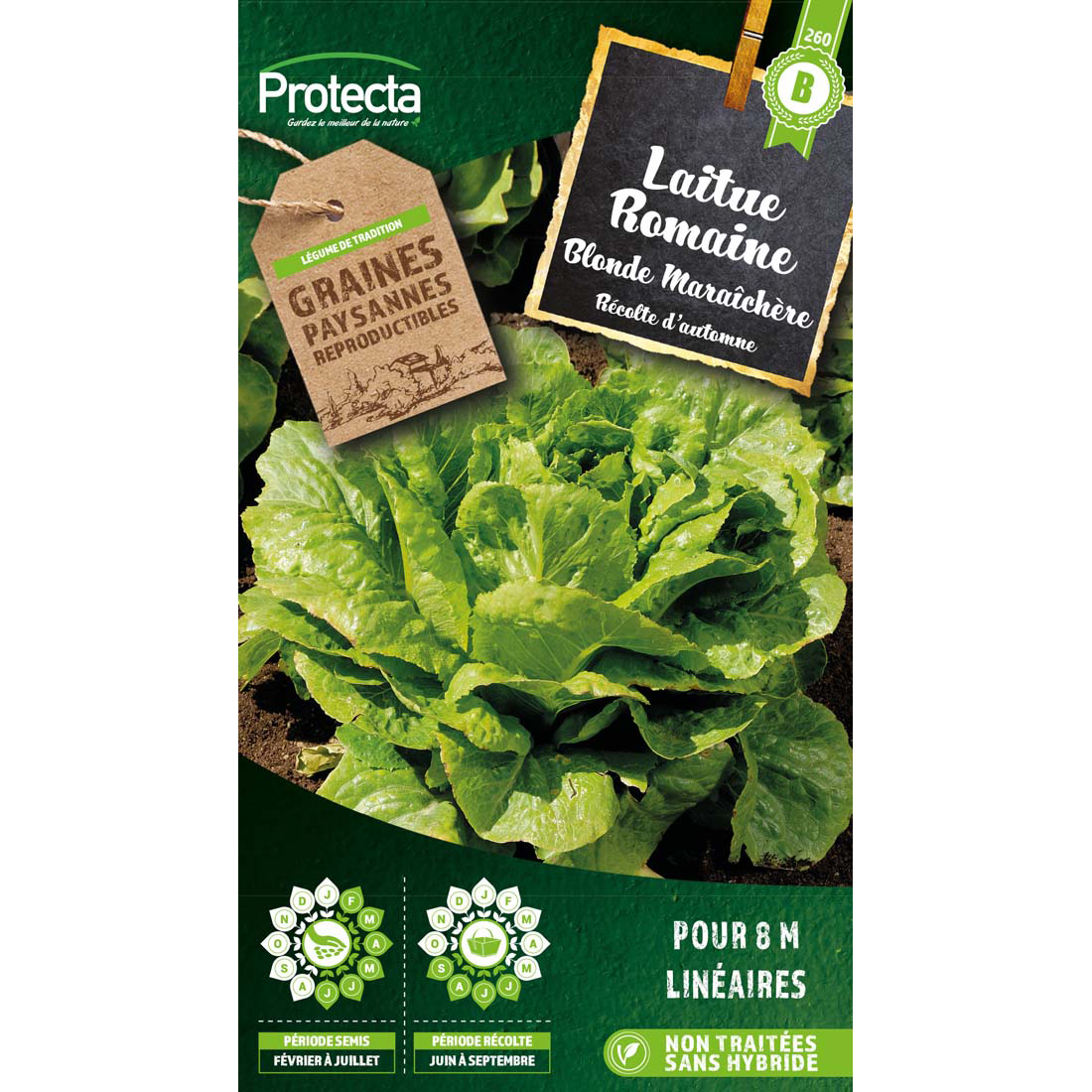 Laitue romaine Blonde maraîchère sachet 4g
