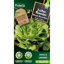 Laitue romaine Blonde maraîchère sachet 4g
