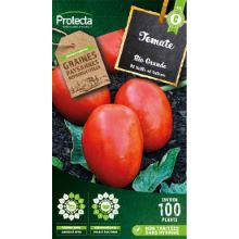 TOMATE RIO GRANDE