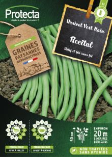 Chicorée frisée pommant seule sachet géant 10 g