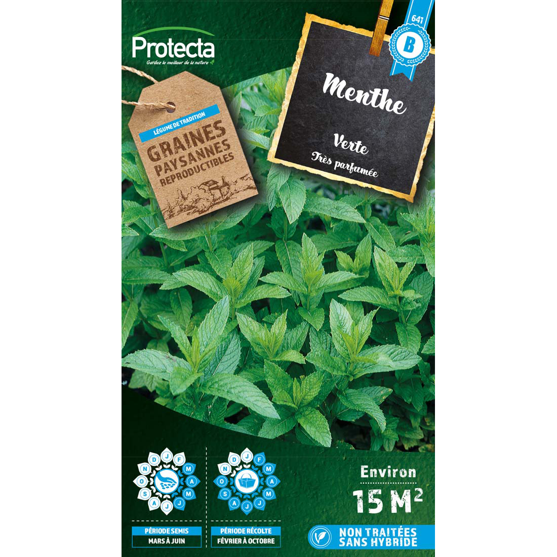 MENTHE VERTE