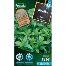 MENTHE VERTE