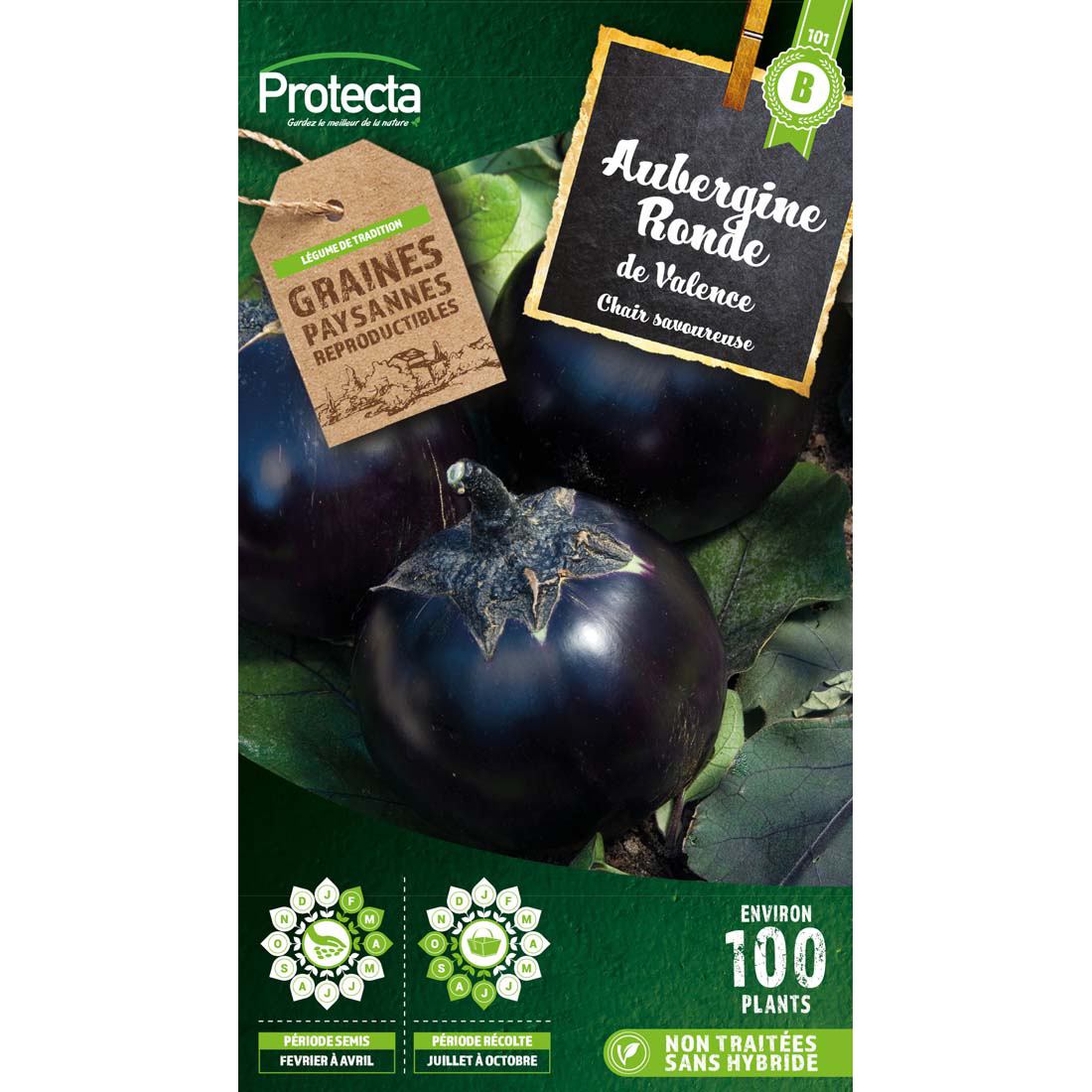 Aubergine ronde de Valence sachet 2 g