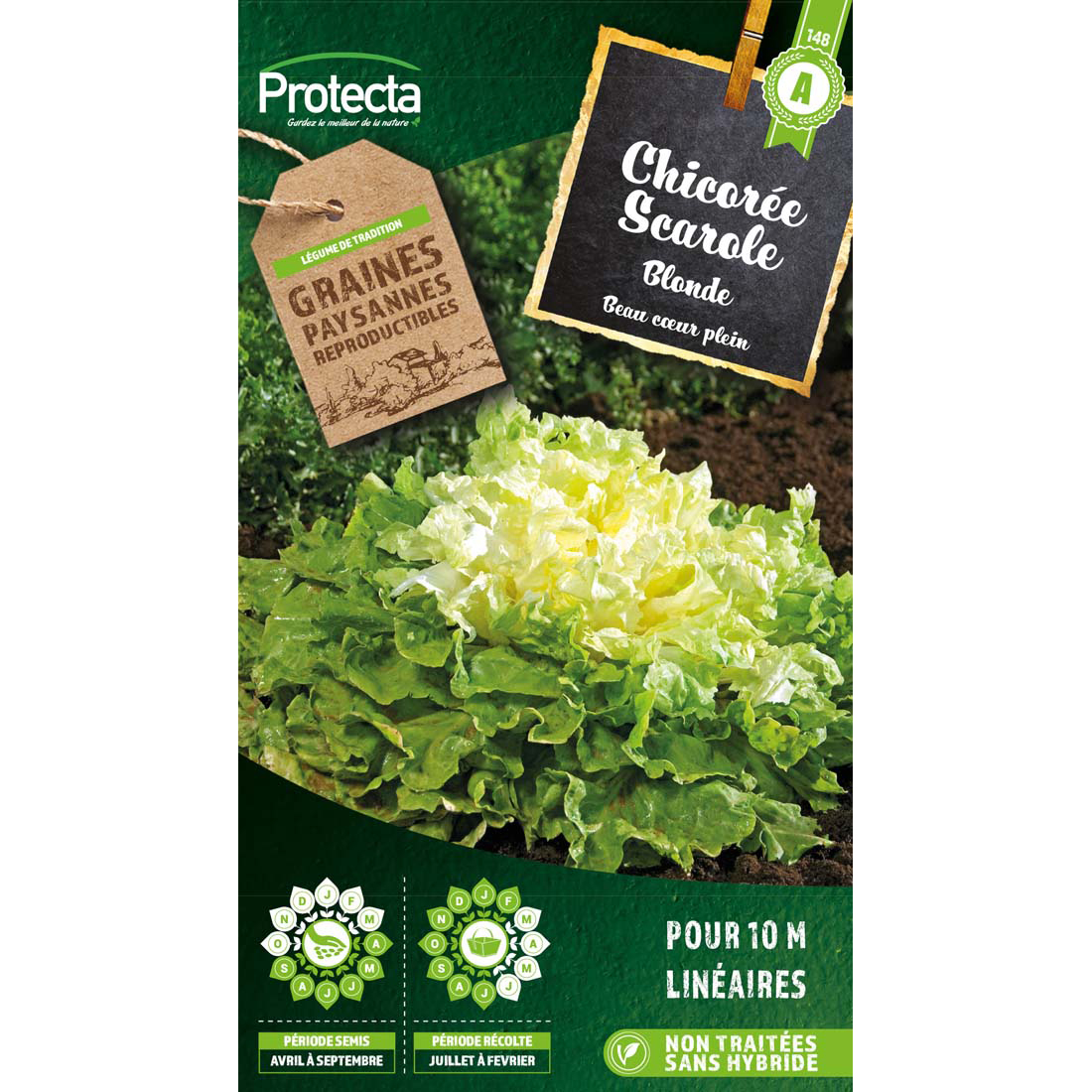 Chicorée scarole blonde à cœur plein sachet 5 g