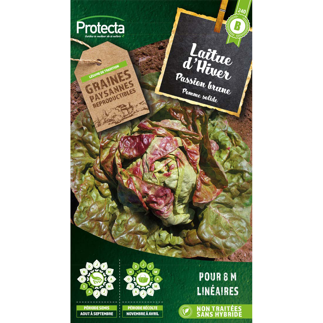 Laitue brune d'hiver (passion brune) sachet 4g