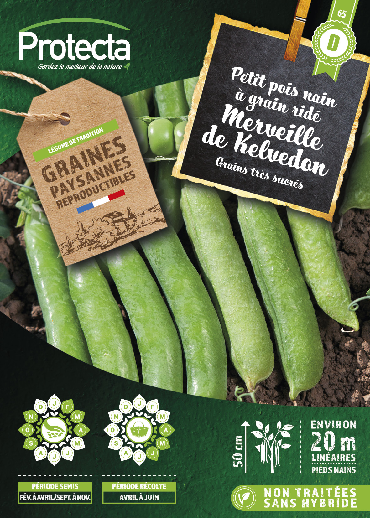 Pois nain Merveille de Kelvedon (grain ridé) -Boîte 150g