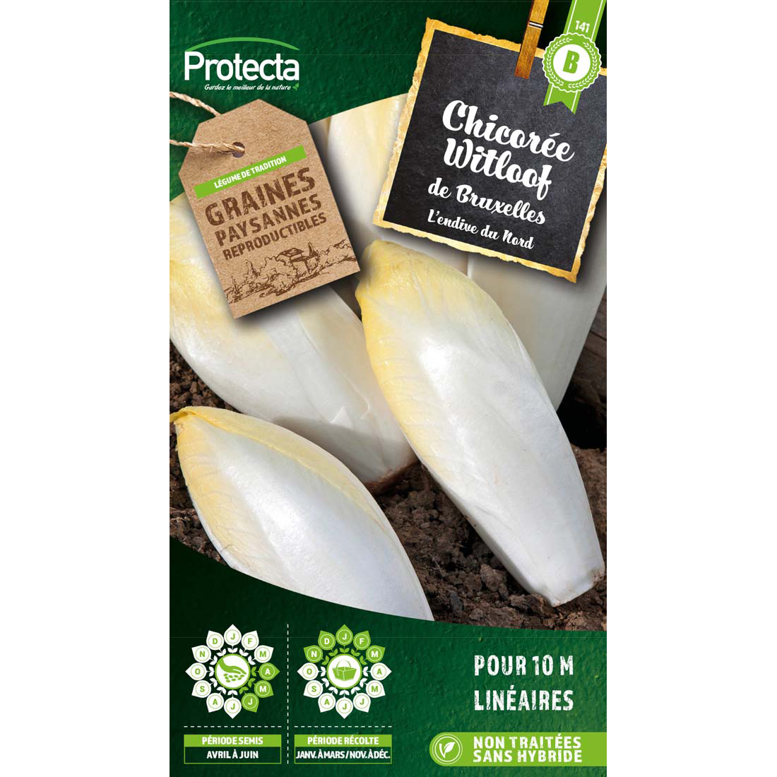 Chicorée de Bruxelles Witloof normale sachet 5 g