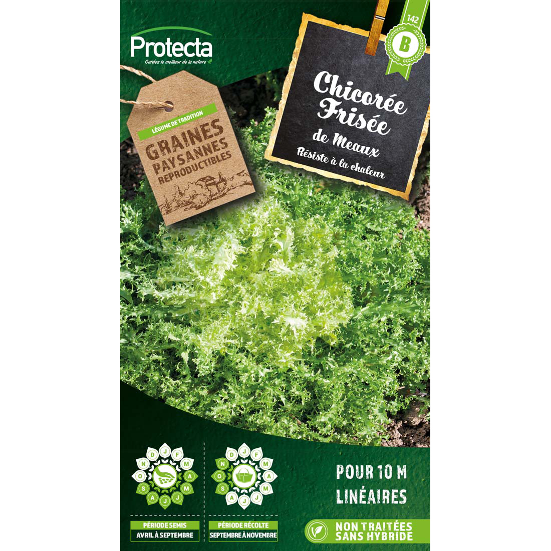 Chicorée frisée de Meaux sachet 5 g
