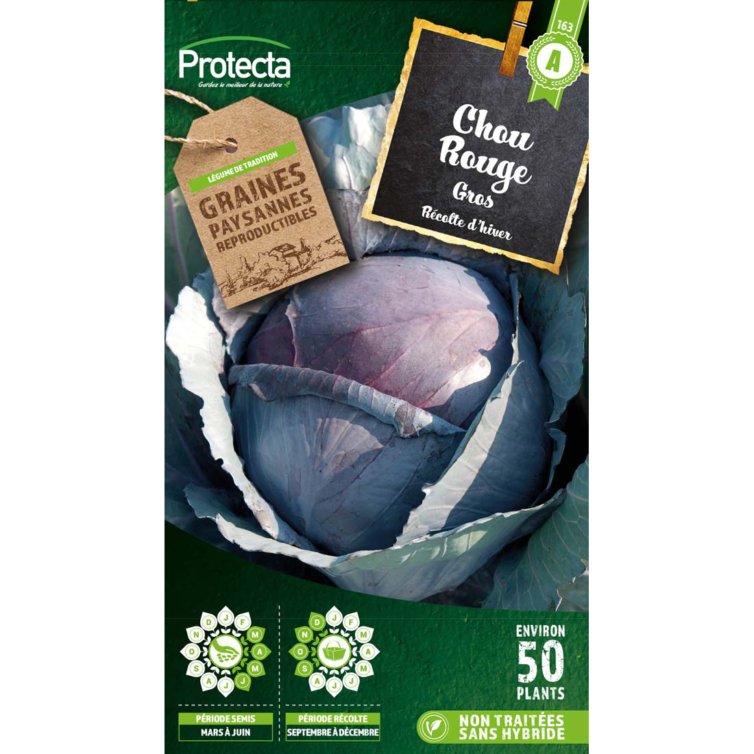 Chou rouge gros sachet 3 g
