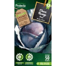 Chou rouge gros sachet 3 g