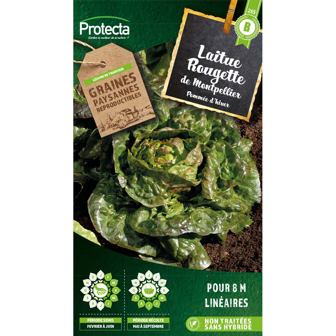 Laitue Rougette de Montpellier (du Midi)