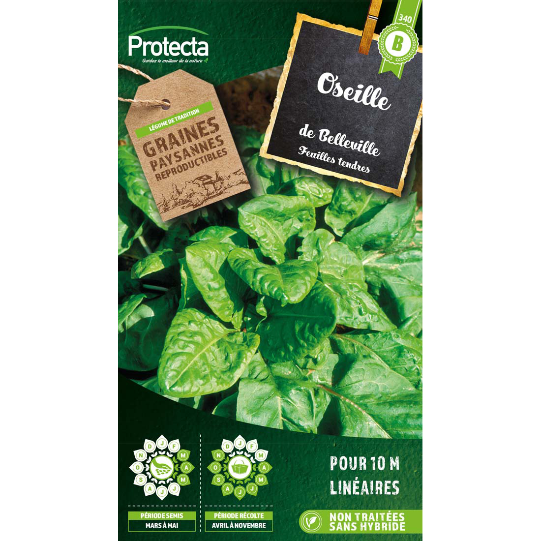 Oseille de Belleville sachet 4g