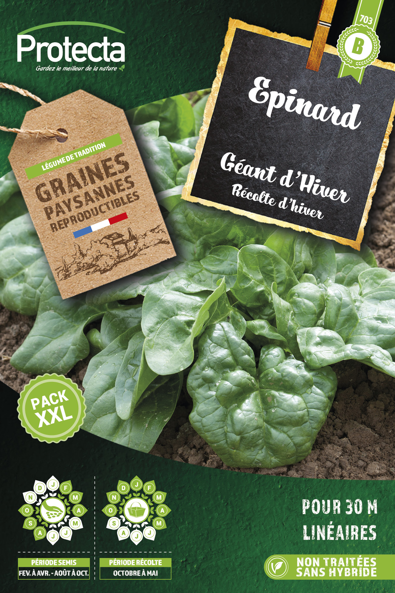 Epinard Géant d'hiver  Xxl-20g